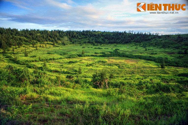 Đặc biệt, lòng chảo núi lửa mang vẻ đẹp quyến rũ mê hồn với những con dốc thoai thoải hướng về trung tâm, tràn ngập các loài cỏ cây hoang dại.