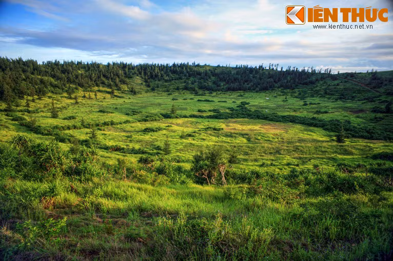 Đặc biệt, lòng chảo núi lửa mang vẻ đẹp quyến rũ mê hồn với những con dốc thoai thoải hướng về trung tâm, tràn ngập các loài cỏ cây hoang dại.