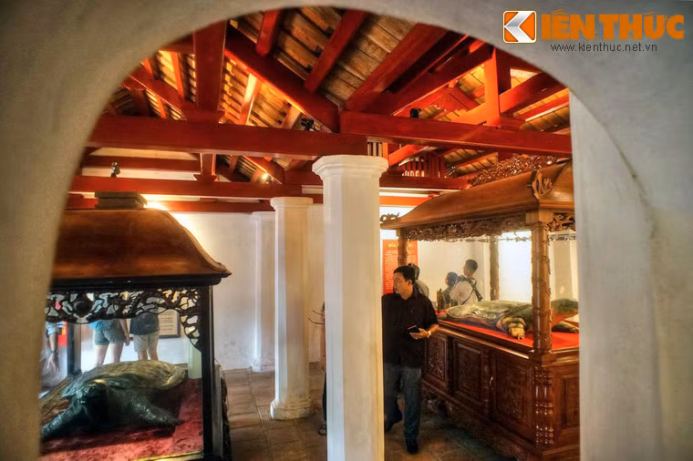 Hai bên khu đền chính có hai gian chái, trong đó gian bên phải là nơi trưng bày hai tiêu bản rùa Hồ Gươm, sinh vật đặc biệt quý hiếm gắn liền với những giai thoại huyền bí về chuyện vua Lê Lợi trả gươm cho Rùa Thần.