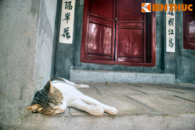 Với những giá trị lịch sử, văn hóa và kiến trúc đặc biệt, đền Ngọc Sơn cùng hồ Hoàn Kiếm đã được công nhận là di tích quốc gia đặc biệt của Việt Nam vào năm 2013.