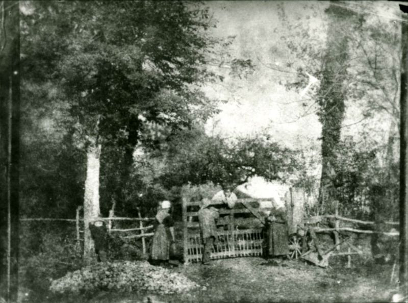 Những người hàng xóm tán gẫu với nhau qua hàng rào.