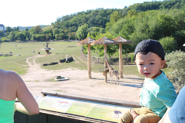 Con trai Kỳ Hân - Mạc Hồng Quân đi chơi công viên.