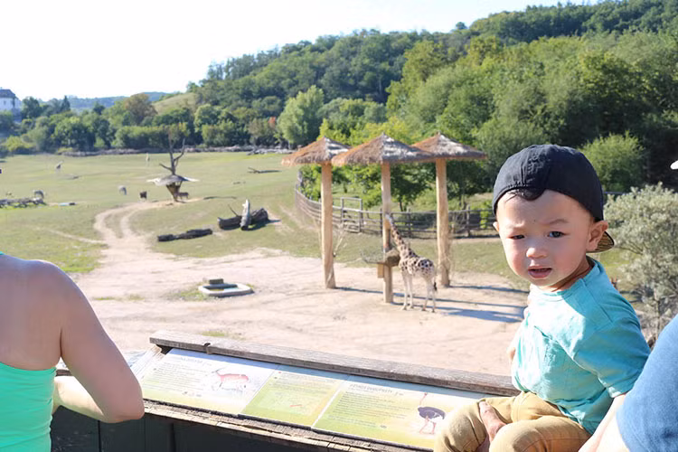 Con trai Kỳ Hân - Mạc Hồng Quân đi chơi công viên.