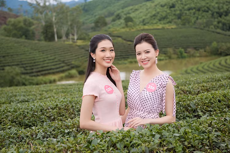 Thanh Vân học ngành Kinh tế đối ngoại của Đại học Ngoại thương Hà Nội trong 3 năm đầu. Năm cuối, cô sang Mỹ du học theo chương trình liên kết.