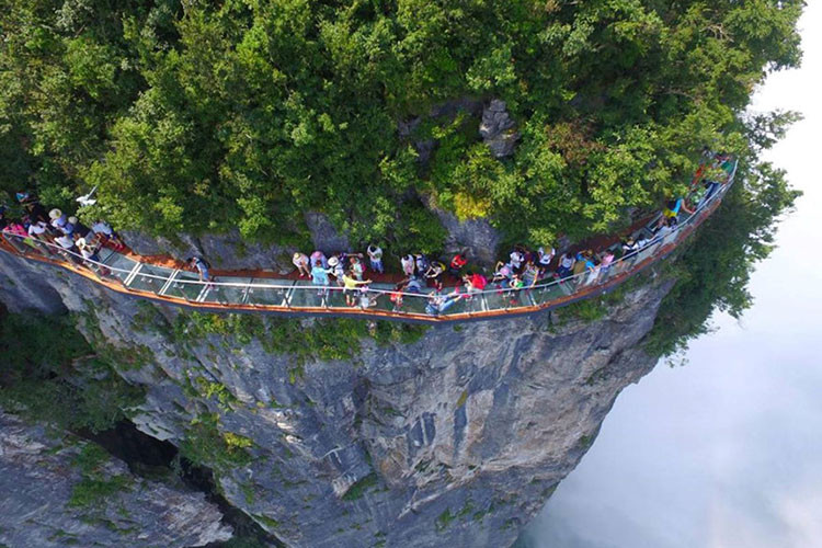 Những "nỗi sợ hãi" ở núi Thiên Môn (Hồ Nam): Núi này không chỉ một, mà đến 3 lối đi có đáy bằng kính men theo vách núi. Lối đi mới nhất được xây dựng ở đây gọi là Coiling Dragon Cliff Walk - vì trông giống một con rồng cuộn mình quanh núi. Ảnh: Independent.co.uk.