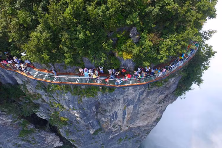 Những "nỗi sợ hãi" ở núi Thiên Môn (Hồ Nam): Núi này không chỉ một, mà đến 3 lối đi có đáy bằng kính men theo vách núi. Lối đi mới nhất được xây dựng ở đây gọi là Coiling Dragon Cliff Walk - vì trông giống một con rồng cuộn mình quanh núi. Ảnh: Independent.co.uk.