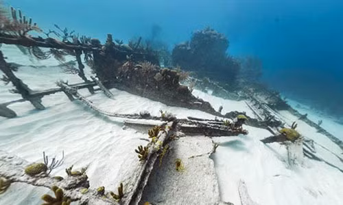 5 tau ma ky la nhat hanh tinh