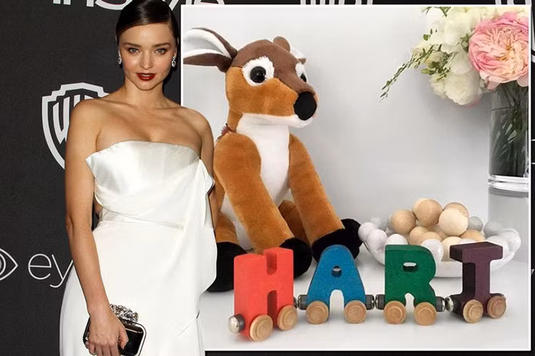 Vợ chồng Miranda hạnh phúc chia sẻ: “Không từ ngữ nào có thể diễn tả cảm xúc thế nào. Sức khỏe của Miranda tốt còn bé Flynn háo hức khi được làm anh”. Ảnh: Mirror