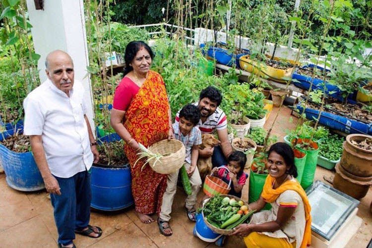 Anh Ravi hiện tại đang làm công việc điều hành một công ty do chính mình sáng lập. Anh cho biết, một lần khi xem chương trình về thực phẩm sạch, anh đã có ý định trồng rau trên mảnh sân thượng nhà mình.