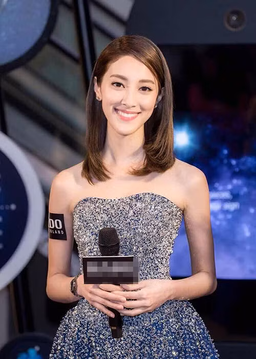 Với danh hiệu hoa hậu, Trần Khải Lâm được TVB lăng xê qua các bộ phim.