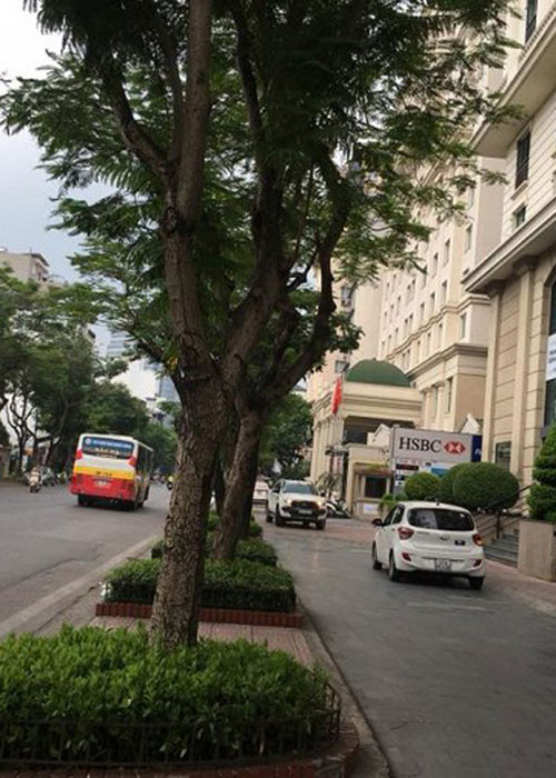 Tương tự, khu vực phố Lý Thường Kiệt vẫn chưa có mưa, thời tiết rất oi bức khó chịu.