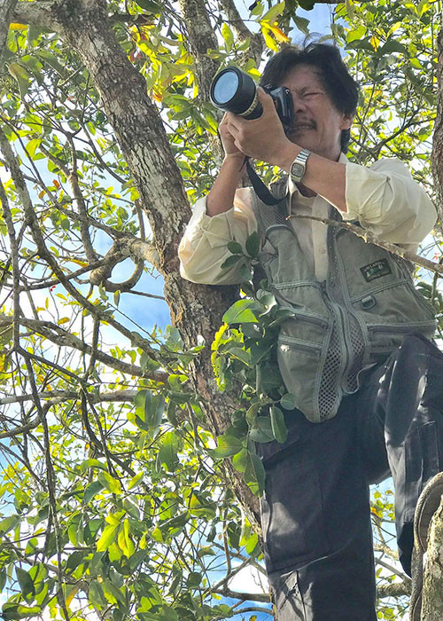 Thái Phiên có 300 tác phẩm được chọn triển lãm ở 60 quốc gia và lãnh thổ trên thế giới, đoạt 52 giải thưởng trong nước và quốc tế. Ảnh: FBNV