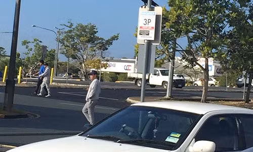 Một con quạ đen đậu trên biển báo bên đường.