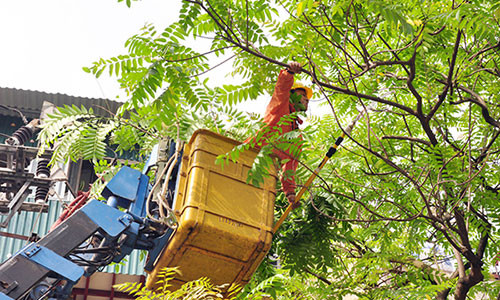 Phát quang hành lang lưới điện tại các điểm dễ gây sự cố trong mùa mưa bão (Ảnh: Hoa Việt Cường).