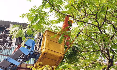 Phát quang hành lang lưới điện tại các điểm dễ gây sự cố trong mùa mưa bão (Ảnh: Hoa Việt Cường).