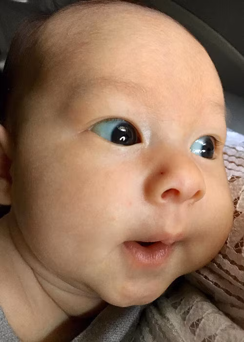 Gần 2 tháng tuổi, bé Lina đã theo mẹ đi khắp nơi từ đi đám cưới đến đi chụp ảnh. Theo lời Lan Phương, đến nơi nào, con gái cũng thể hiện sự háo hức.