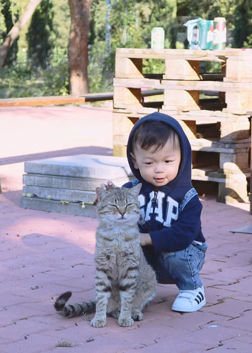 Con trai của cặp đôi sao Việt Kỳ Hân - Mạc Hồng Quân thích chơi với chú mèo.