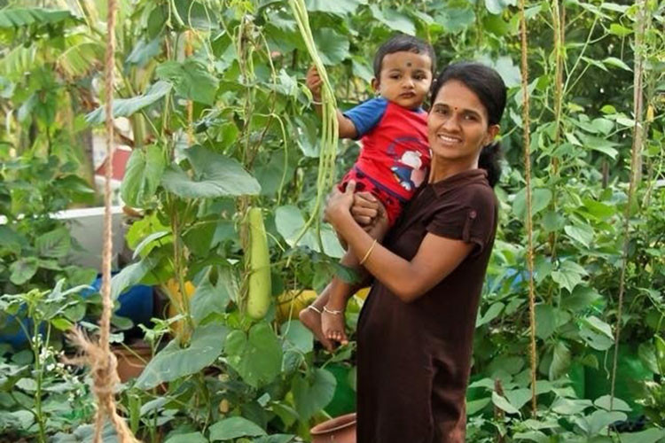 Thêm vào đó, khi mùa hè nóng nực, sân thượng trở nên bỏng rát, dù trần đã được chống nóng nhưng nhiệt độ ngày một tăng vẫn khiến mọi người trong gia đình cảm thấy mệt mỏi. Đó cũng chính là động lực để anh quyết định “tự cung tự cấp” nguồn rau quả sạch, đồng thời giúp làm mát nhà vào mùa hè.