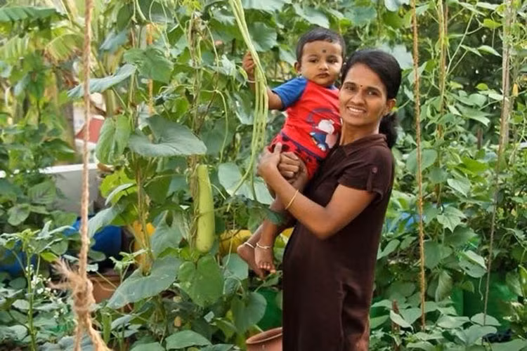 Thêm vào đó, khi mùa hè nóng nực, sân thượng trở nên bỏng rát, dù trần đã được chống nóng nhưng nhiệt độ ngày một tăng vẫn khiến mọi người trong gia đình cảm thấy mệt mỏi. Đó cũng chính là động lực để anh quyết định “tự cung tự cấp” nguồn rau quả sạch, đồng thời giúp làm mát nhà vào mùa hè.