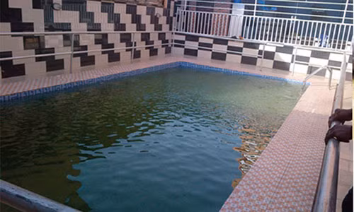 Các cô gái trẻ có thể kiếm tiền bằng cách bán dâm bên cạnh bể bơi.