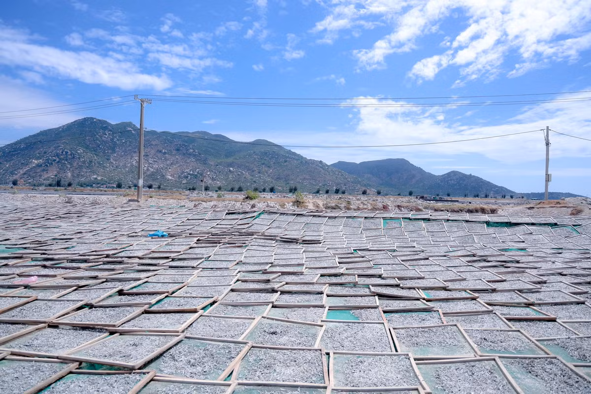 Nếu có dịp ghé thăm Ninh Thuận, đừng quên dừng chân tại Cà Ná để tận hưởng vẻ đẹp hoang sơ và khám phá những điều thú vị nơi đây.