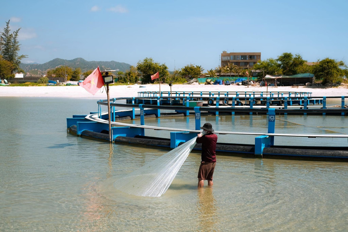 Người dân chủ yếu sống bằng nghề đánh bắt, phơi cá, làm nước mắm.