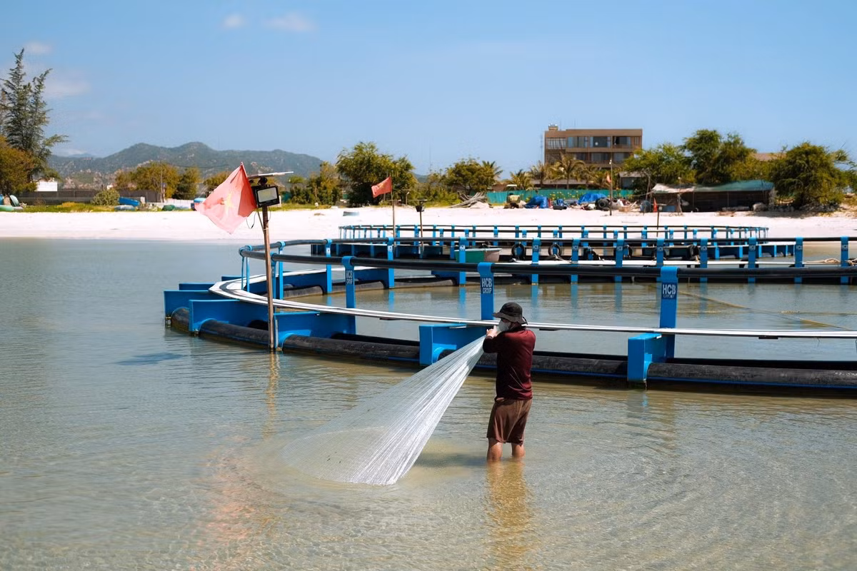 Người dân chủ yếu sống bằng nghề đánh bắt, phơi cá, làm nước mắm.