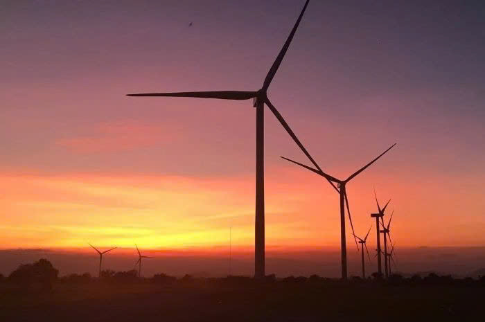 Trong nắng vàng rực rỡ hoặc dưới hoàng hôn đỏ rực, cánh đồng điện gió như khoác lên mình vẻ đẹp huyền bí, mê hoặc mọi ánh nhìn. Ảnh Internet