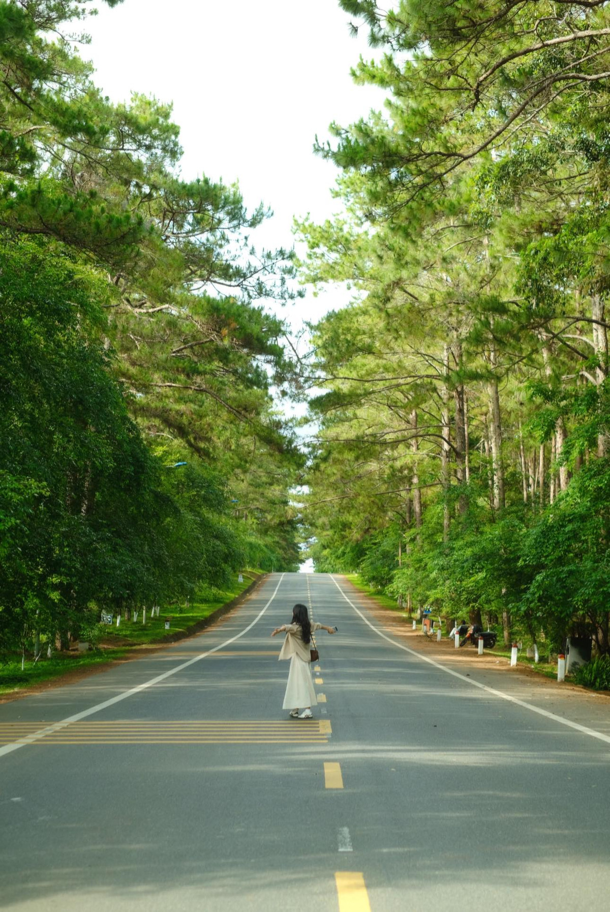 Rừng thông Măng Đen: Không khí trong lành, mát mẻ của rừng thông nơi đây khiến bất cứ ai cũng muốn nán lại thật lâu. Dạo bước giữa rừng vào buổi sáng hay hoàng hôn, bạn sẽ cảm nhận được sự bình yên hiếm có. Đây cũng là background "sống ảo" cực chất cho các tín đồ du lịch.