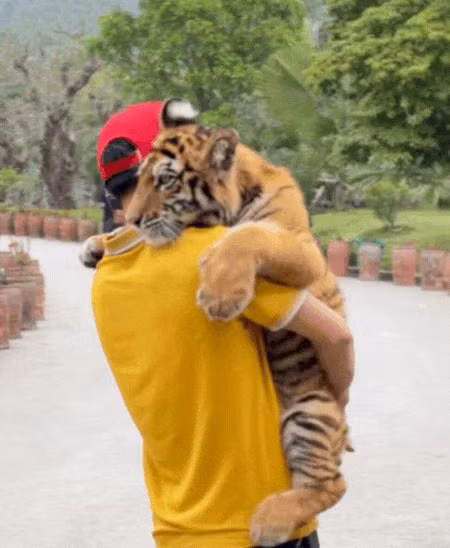 “Tuyt coi” khu du lich de khach tham quan be ho nhu thu cung