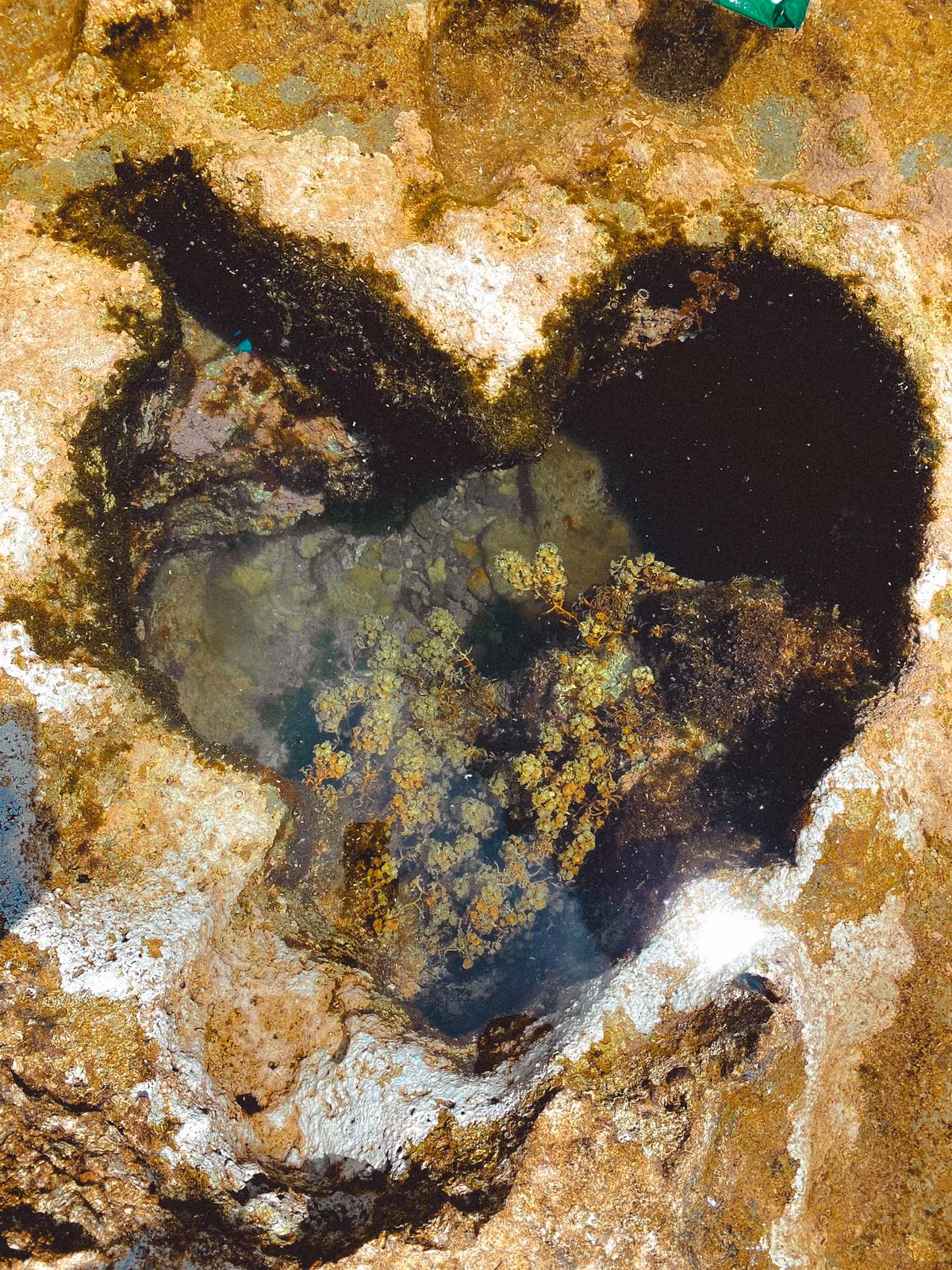 Với giá trị tự nhiên quý giá, Hang Rái đang được chính quyền địa phương và cộng đồng chú trọng bảo tồn. Các hoạt động du lịch sinh thái ở đây được phát triển theo hướng bền vững, nhằm hạn chế tối đa tác động tiêu cực đến môi trường. Sự cân bằng giữa phát triển du lịch và gìn giữ thiên nhiên giúp Hang Rái giữ trọn nét đẹp nguyên sơ, thuần khiết vốn có. Ảnh Trần Hậu