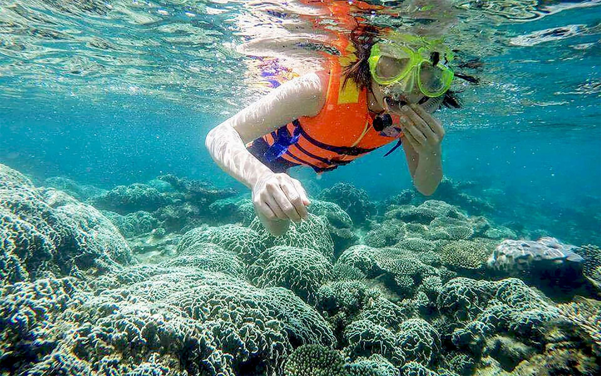 Đảo Bé là điểm đến lý tưởng cho những ai yêu thích snorkeling (lặn ngắm san hô). Chỉ cần một chiếc kính lặn đơn giản, bạn có thể dễ dàng nhìn thấy những rạn san hô đủ hình dạng và màu sắc, cùng hàng trăm loài cá nhỏ bơi lội tung tăng dưới làn nước trong xanh.