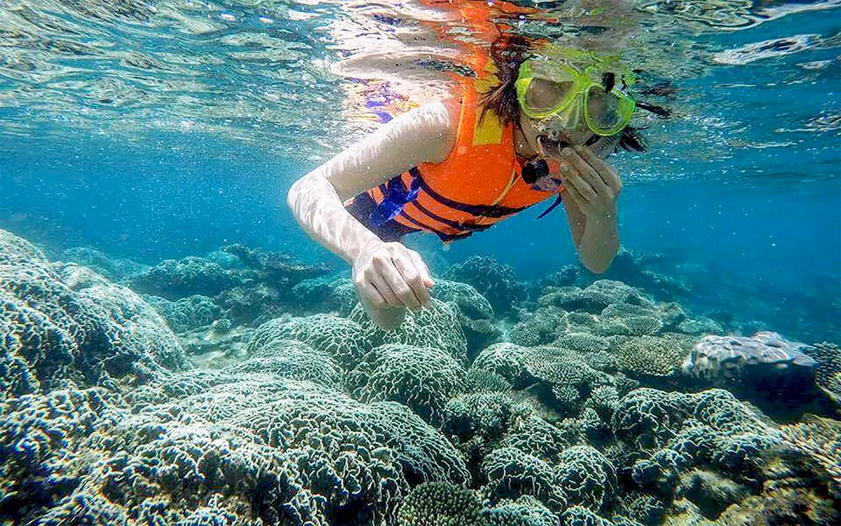 Đảo Bé là điểm đến lý tưởng cho những ai yêu thích snorkeling (lặn ngắm san hô). Chỉ cần một chiếc kính lặn đơn giản, bạn có thể dễ dàng nhìn thấy những rạn san hô đủ hình dạng và màu sắc, cùng hàng trăm loài cá nhỏ bơi lội tung tăng dưới làn nước trong xanh.