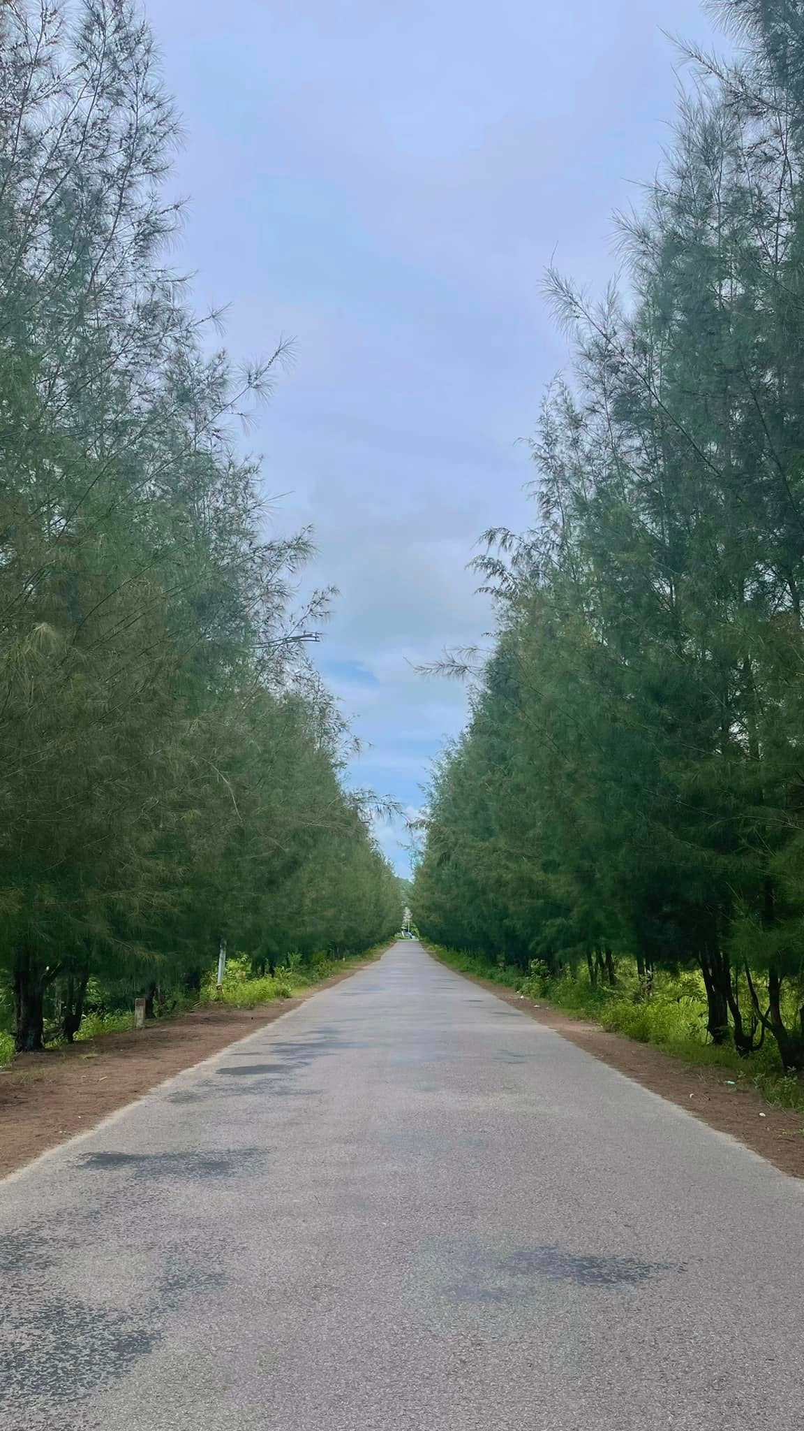 Không chỉ có biển, Quan Lạn còn gây ấn tượng với những rặng phi lao cao vút, những cánh đồng cỏ xanh mướt và những lối mòn uốn lượn đưa du khách len lỏi khám phá trọn vẹn vẻ đẹp của đảo.