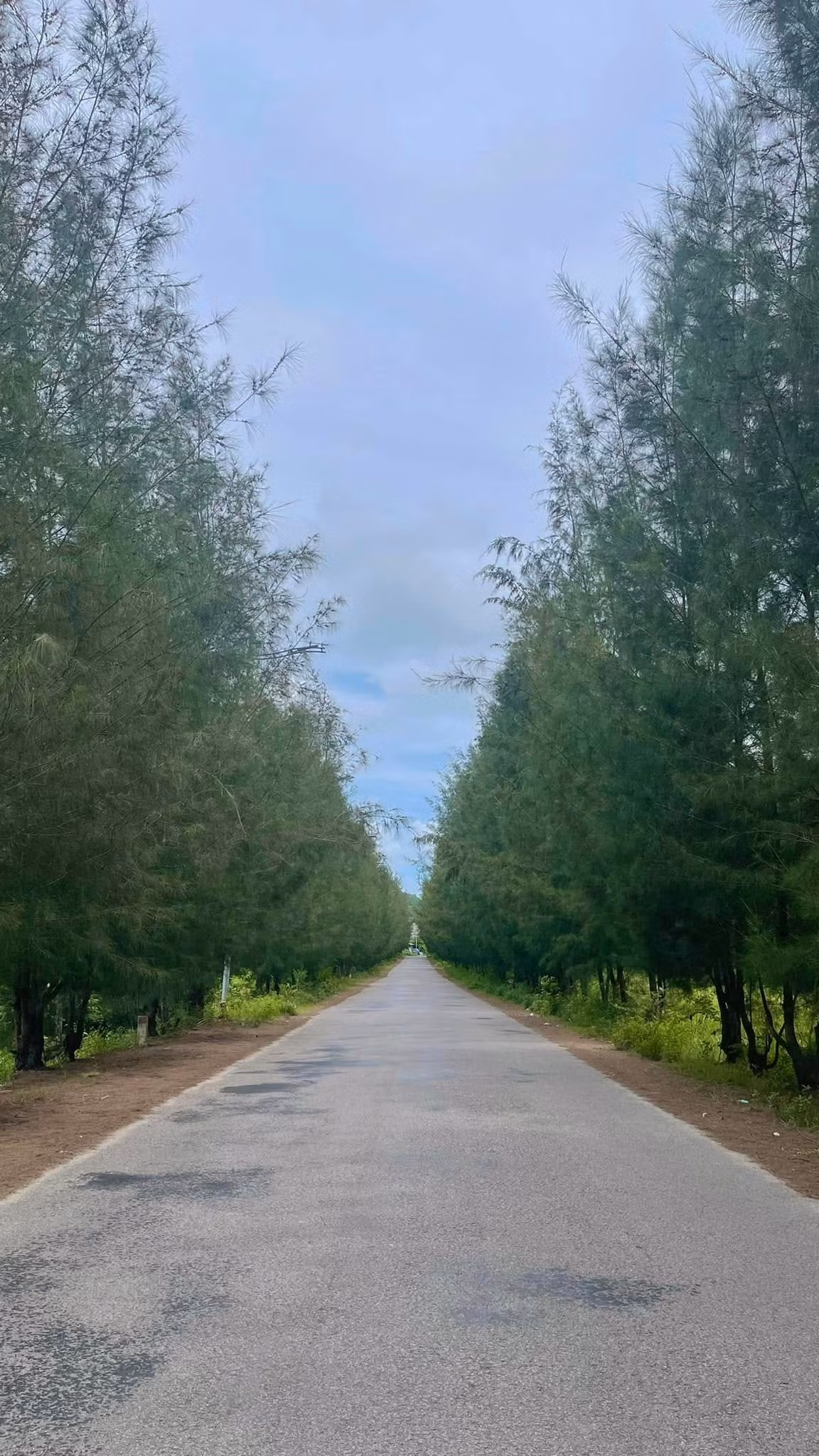 Không chỉ có biển, Quan Lạn còn gây ấn tượng với những rặng phi lao cao vút, những cánh đồng cỏ xanh mướt và những lối mòn uốn lượn đưa du khách len lỏi khám phá trọn vẹn vẻ đẹp của đảo.