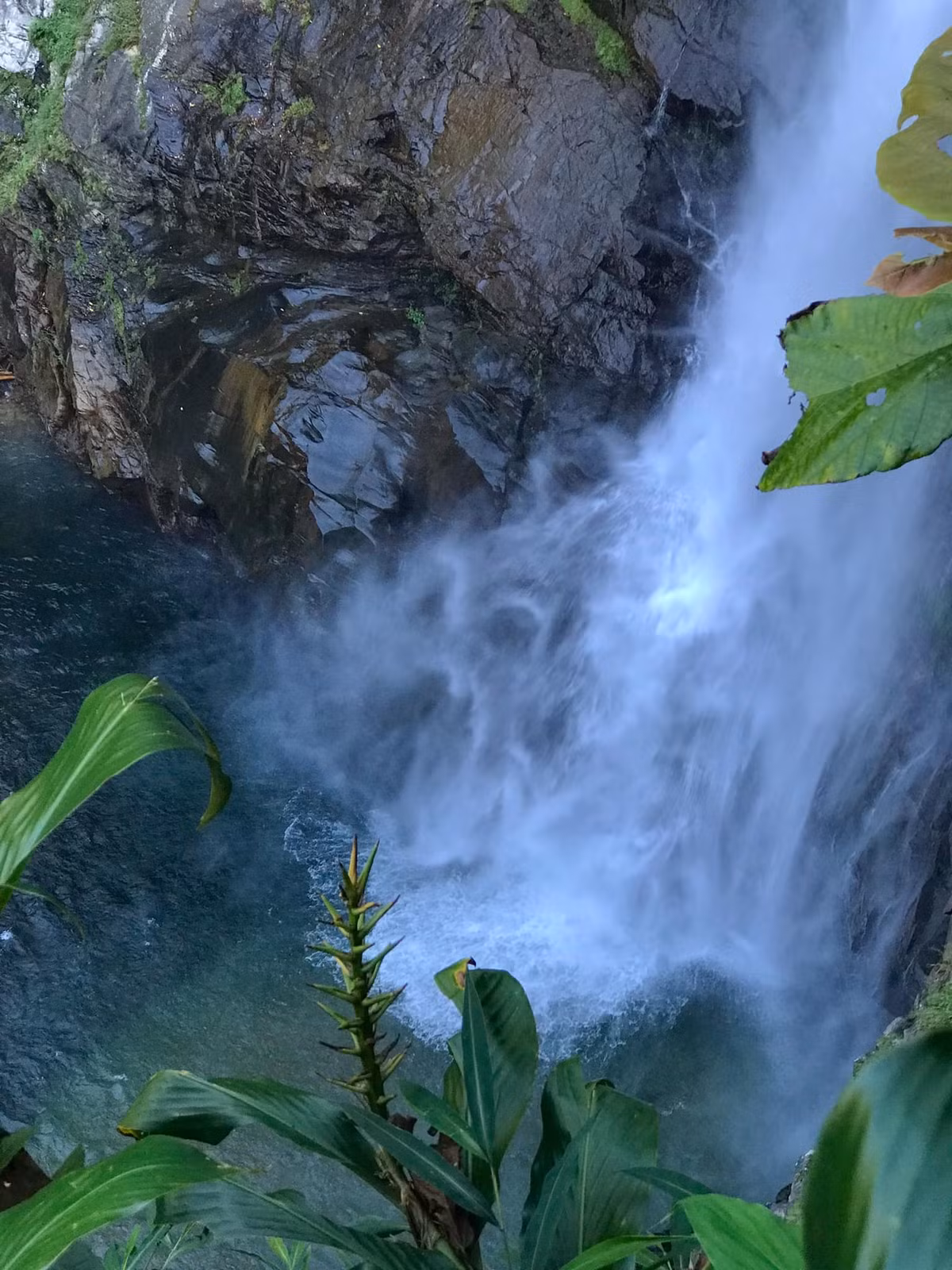 Thác Háng Tề Chơ không chỉ là một điểm đến, mà là hành trình thử thách giới hạn bản thân, là nơi du khách buộc phải bỏ lại sự ồn ào để lắng nghe tiếng nói của thiên nhiên.