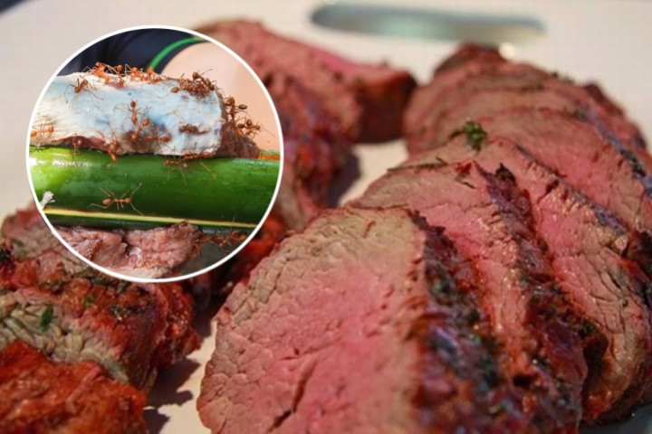 Món thịt bò tái kiến đốt Tam Đảo gây sốc với thực khách từ cách làm cho đến khi thưởng thức. Tuy nhiên khi đã ăn rồi thì chắc chắn món ăn gây thương nhớ với bất cứ ai đã thưởng thức. Miếng thịt bò nóng hổi khi vừa mới mổ được mang đi cho kiến đốt trước khi chế biến. Cái tên của món ăn cũng được ra đời từ chính cách làm của nó. Ảnh Internet