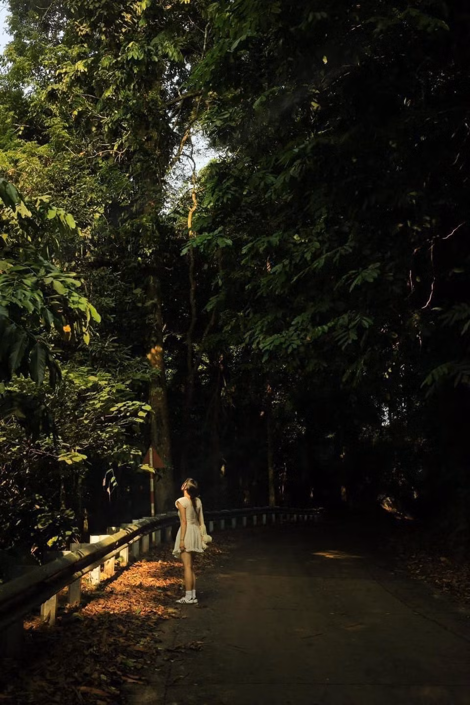 Khi gió nhẹ thổi qua, từng đàn bướm nhẹ nhàng bay lên, tạo nên một cảnh tượng huyền ảo khiến mọi du khách không khỏi ngỡ ngàng. Những khoảnh khắc đó, chẳng khác gì một bức tranh sống động vẽ lên bầu trời, là thời khắc tuyệt vời để bạn lưu lại những bức ảnh tuyệt đẹp. Ảnh Giang Thu Nguyễn