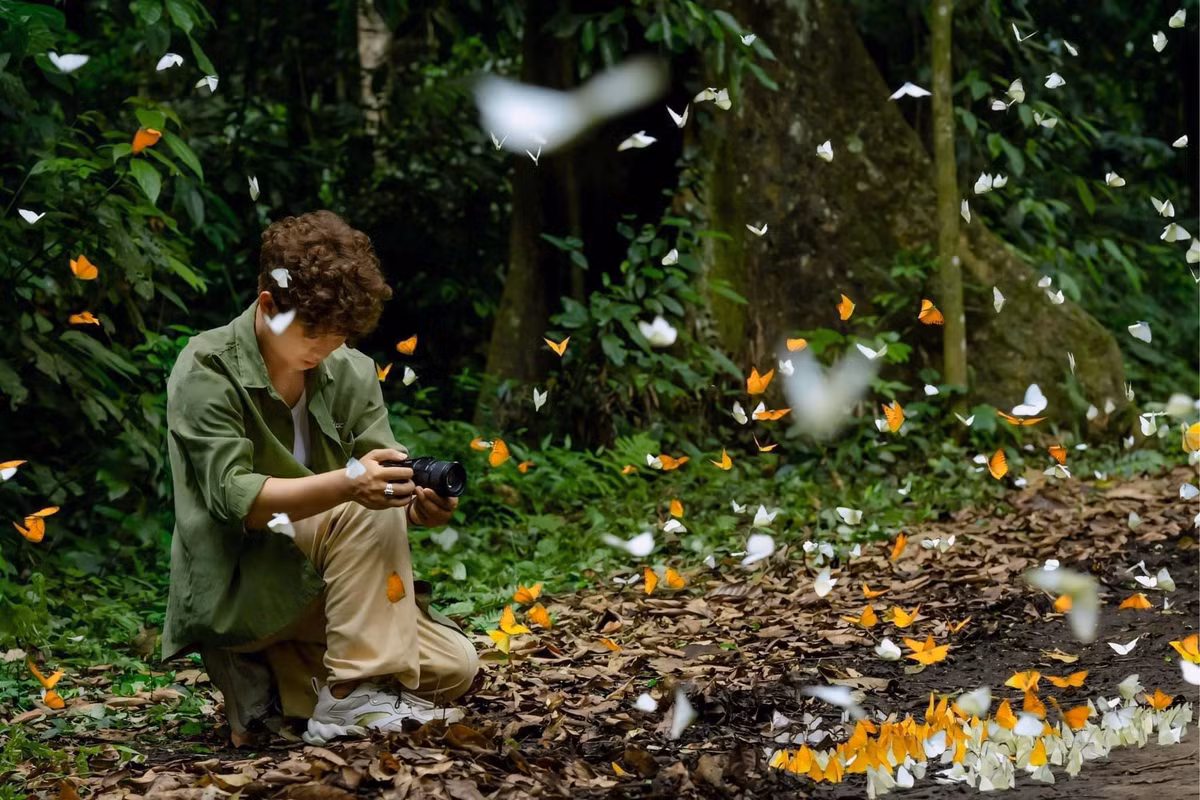 Vườn quốc gia Cúc Phương, với diện tích rộng lớn hơn 22.000 ha, nổi tiếng là khu bảo tồn động thực vật quý hiếm của Việt Nam. Nhưng ít ai biết rằng vào mỗi dịp cuối tháng 4 và đầu tháng 5, nơi đây còn có một đặc sản vô cùng đặc biệt mùa bướm. Ảnh Mochi