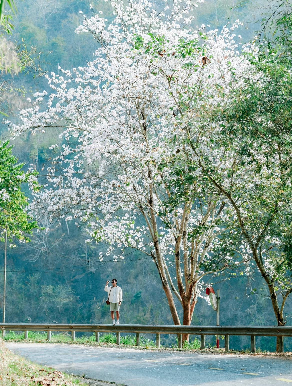 Không chỉ là biểu tượng của núi rừng Tây Bắc, hoa ban còn gắn liền với đời sống của đồng bào Thái nơi đây. Ảnh Blog Của Rọt