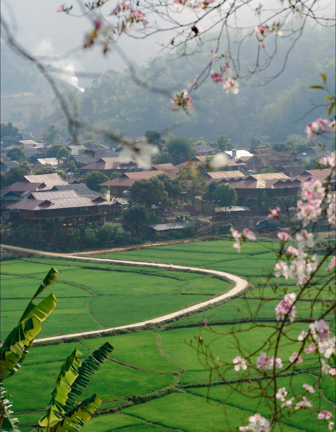 Mùa ban trắng Nà Sự không chỉ là một bức tranh thiên nhiên tuyệt đẹp mà còn là dấu ấn của văn hóa và tình người Tây Bắc. Nếu bạn yêu thích vẻ đẹp hoang sơ và muốn hòa mình vào không gian thơ mộng, đây chắc chắn là một điểm đến không thể bỏ lỡ. Ảnh Blog Của Rọt