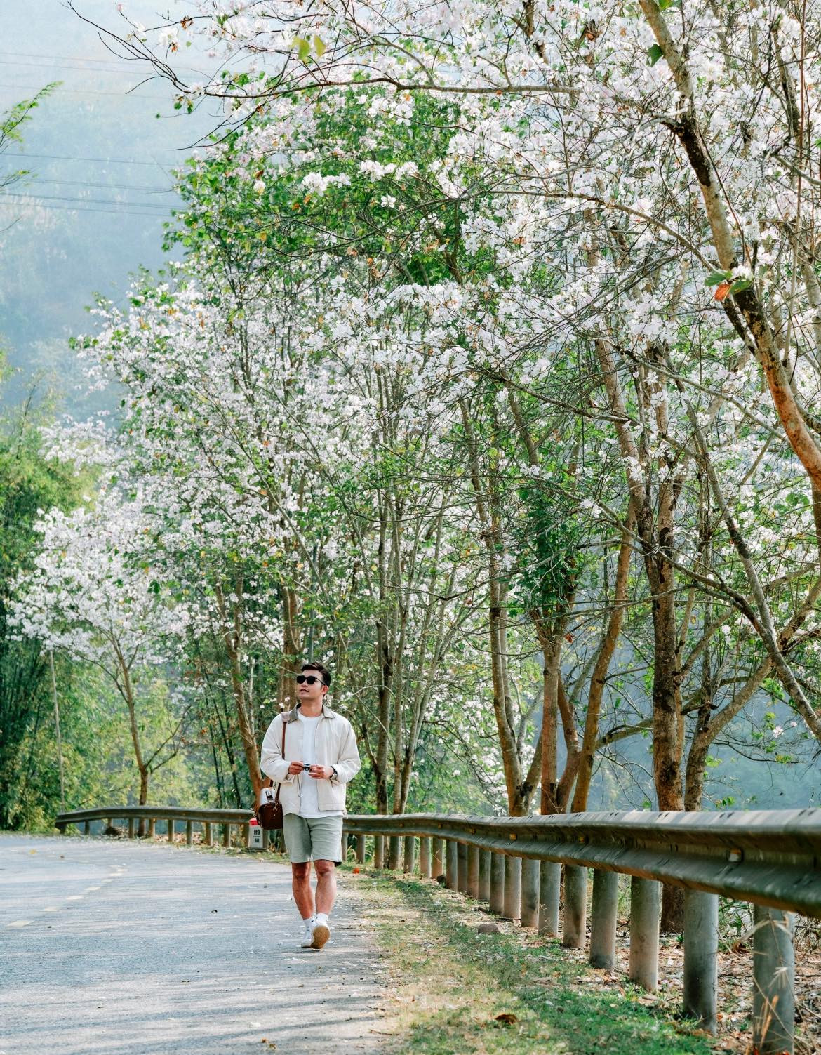 Khi mùa hoa ban đến, khắp các triền đồi, những con đường nhỏ quanh bản làng như được phủ một lớp áo trắng tinh khôi, khiến không gian nơi đây trở nên huyền bí và lãng mạn. Ảnh Blog Của Rọt