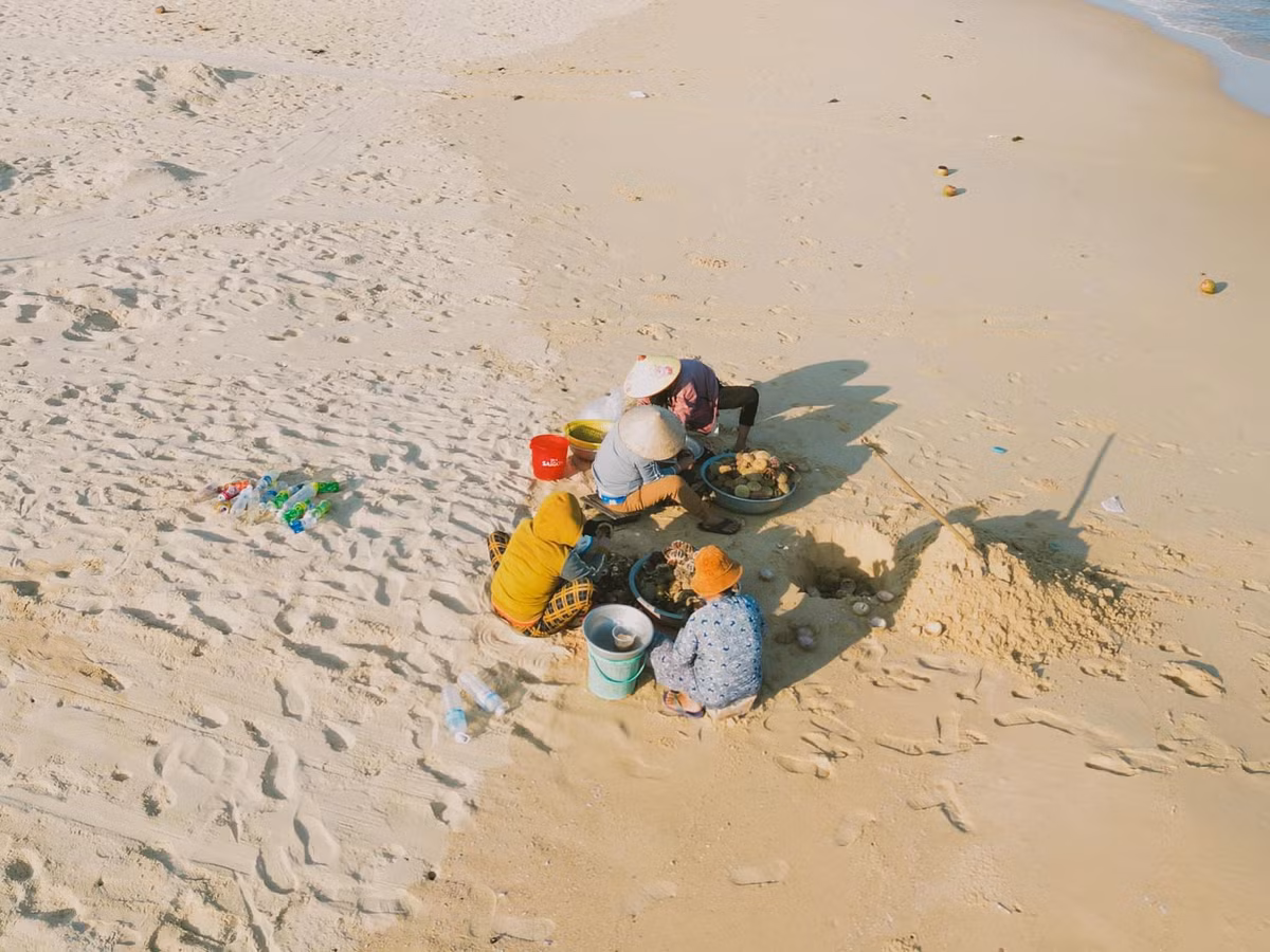 Du khách có thể thức dậy sớm để hòa mình vào không khí nhộn nhịp của phiên chợ cá sáng, lắng nghe tiếng nói cười rộn ràng giữa những mẻ lưới đầy tôm cá tươi rói. Ảnh Bùi Ngọc Công