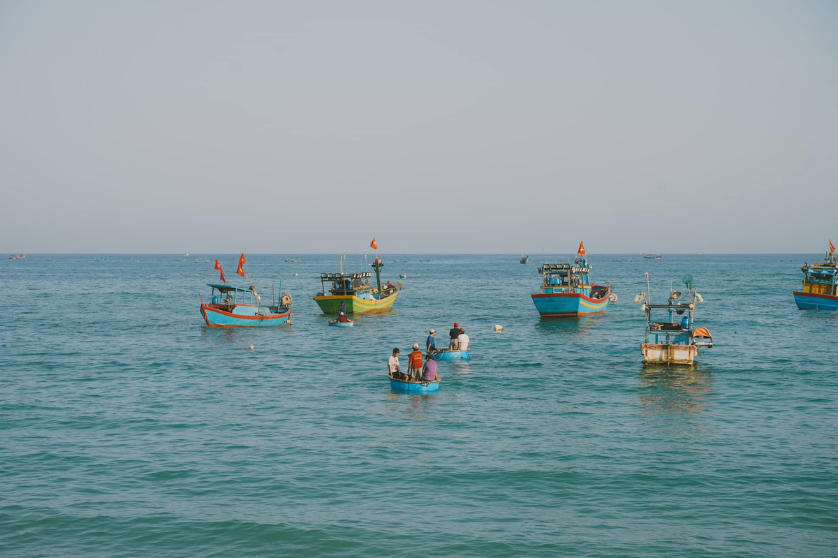 Mọi khung hình nơi đây đều đẹp như tranh, đặc biệt vào lúc bình minh hay hoàng hôn, khi cả không gian ngập tràn ánh sáng dịu dàng của trời và biển hòa quyện. Ảnh Bùi Ngọc Công