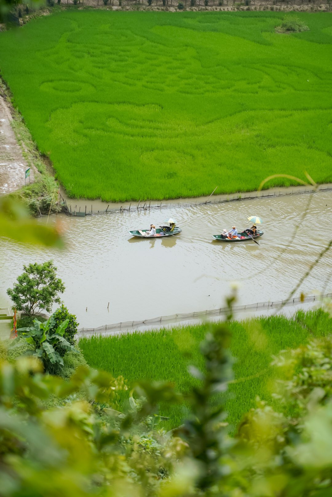 Mỗi nhịp chèo đưa thuyền đi, không gian dường như càng thêm rộng mở, xanh mướt và yên ả đến lạ thường. Ảnh Chuyến đi của Tali
