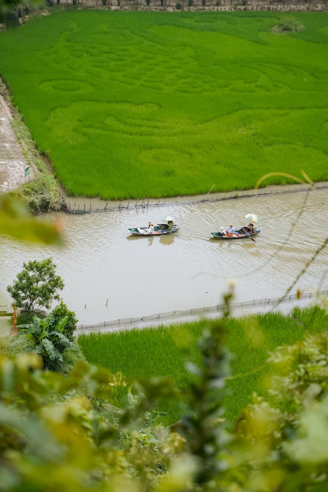 Mỗi nhịp chèo đưa thuyền đi, không gian dường như càng thêm rộng mở, xanh mướt và yên ả đến lạ thường. Ảnh Chuyến đi của Tali