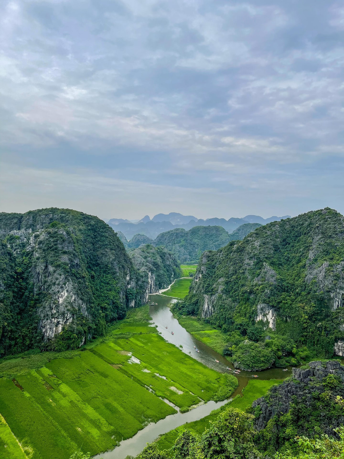 Nếu ai đã từng yêu vẻ đẹp vàng óng ả của Tam Cốc vào mùa lúa chín, thì hẳn cũng sẽ không thể cưỡng lại được nét quyến rũ dịu dàng của nơi này khi lúa còn xanh.