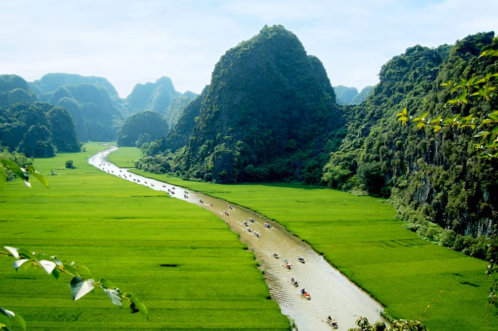 Không rực rỡ như mùa lúa chín vàng, nhưng mùa lúa xanh lại mang một vẻ đẹp riêng, dịu dàng, tinh khôi và tĩnh lặng đến lạ lùng, khiến bất kỳ ai ghé qua cũng phải nao lòng. Ảnh Internet