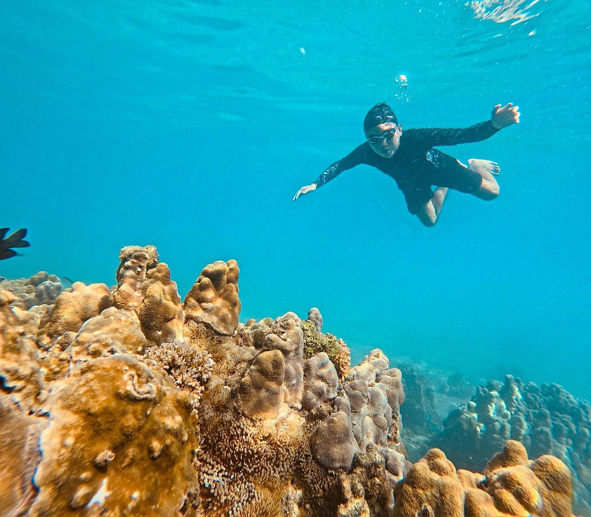 Du khách có thể bơi lội, lặn ngắm san hô, cắm trại qua đêm, thưởng thức hải sản tươi sống vừa được đánh bắt.