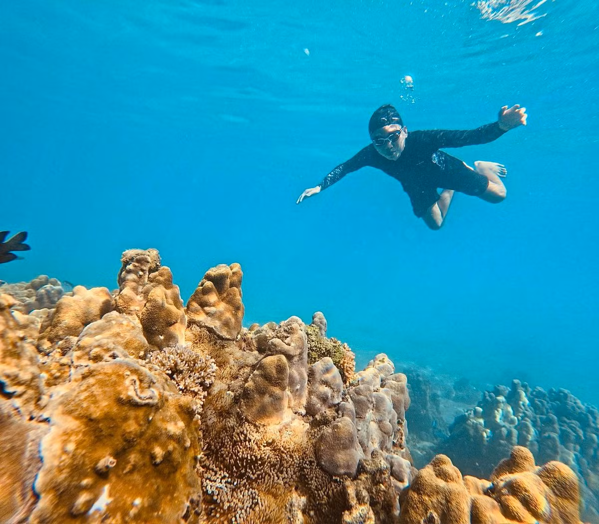 Du khách có thể bơi lội, lặn ngắm san hô, cắm trại qua đêm, thưởng thức hải sản tươi sống vừa được đánh bắt.